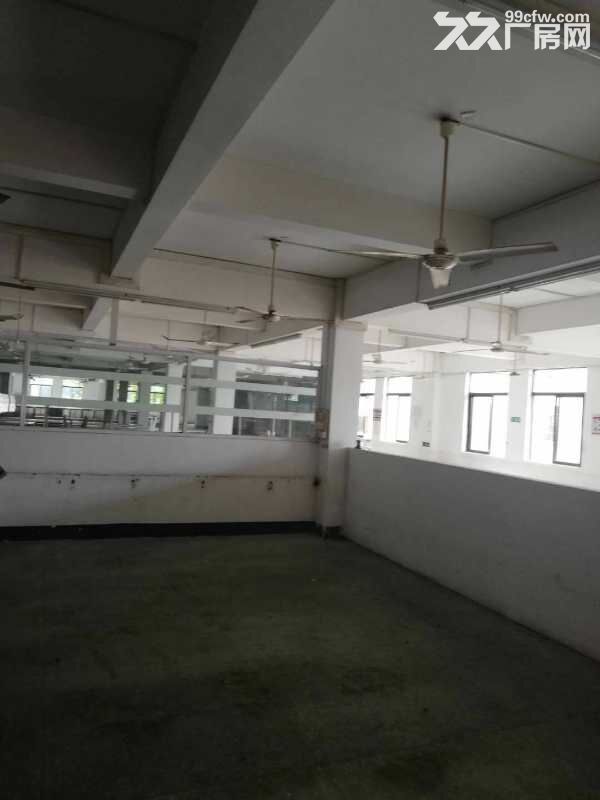 南屏科技园屏东二楼新出400平方精装修厂房办公室出租-图2