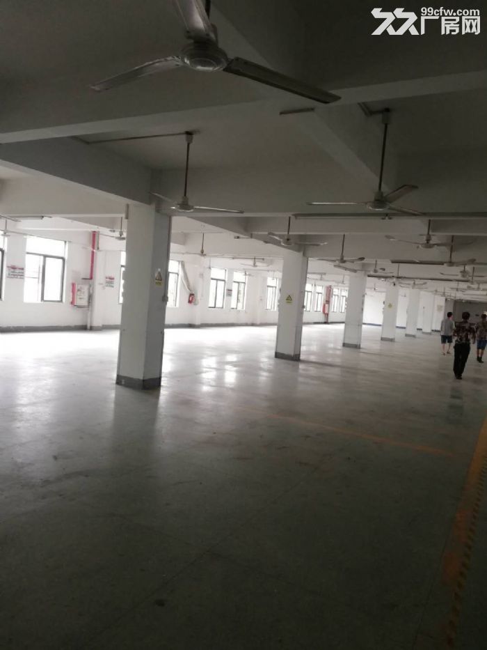 南屏科技园屏东二楼新出400平方精装修厂房办公室出租