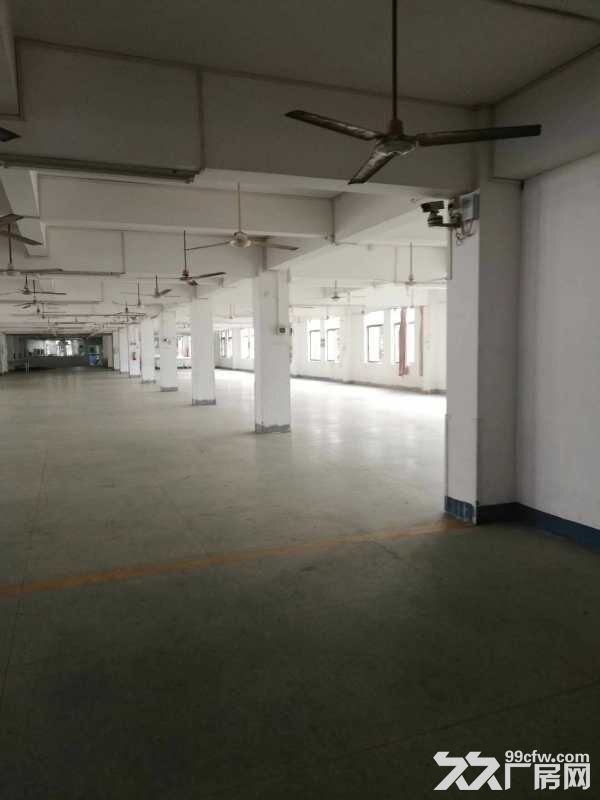 南屏科技园屏东二楼新出400平方精装修厂房办公室出租-图3