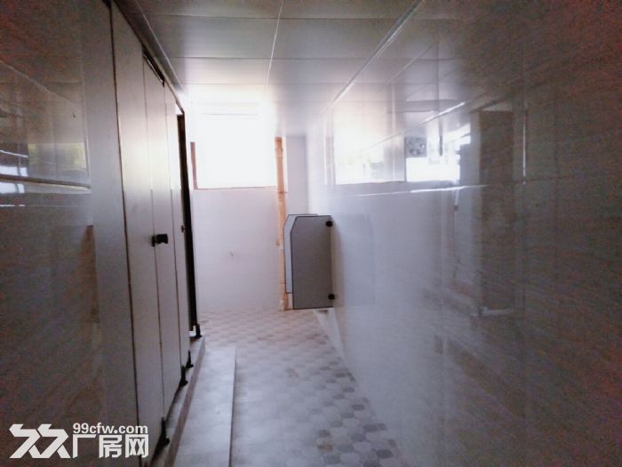 南屏科技园屏东一楼2700平方,全新装修,可分租-图3