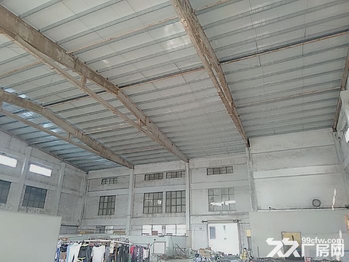 南屏科技园一楼厂房2000平方，层高15米,适合球馆,仓储-图3