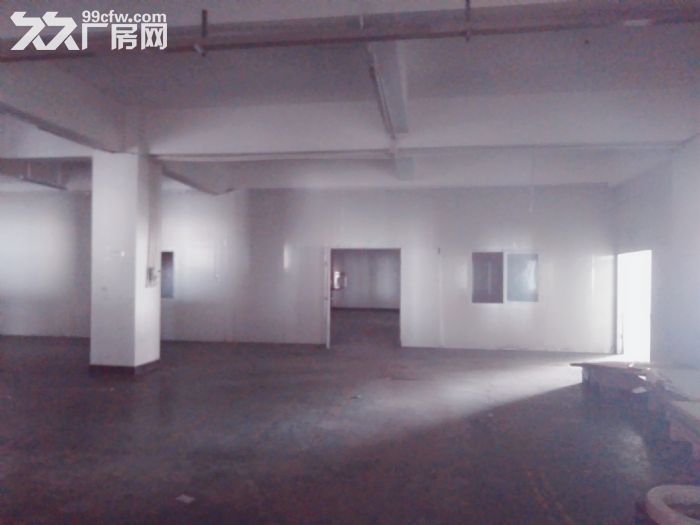 南屏科技园920平方一楼厂房，带装修拎包入驻-图2