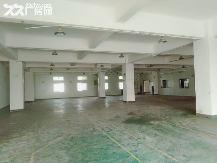 南屏科技园920平方一楼厂房，带装修拎包入驻-图3