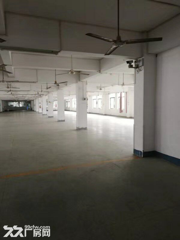 南屏科技园200&minus;300平方三楼小面积厂房出租-图3