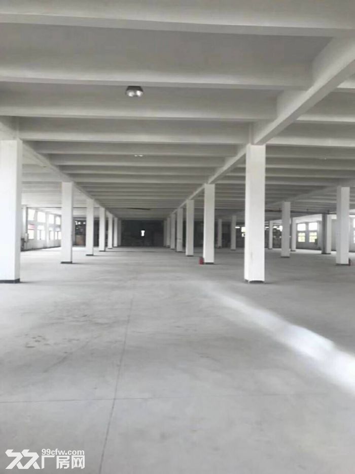 金湾红旗25000平方单一层厂房，位置好，配套齐