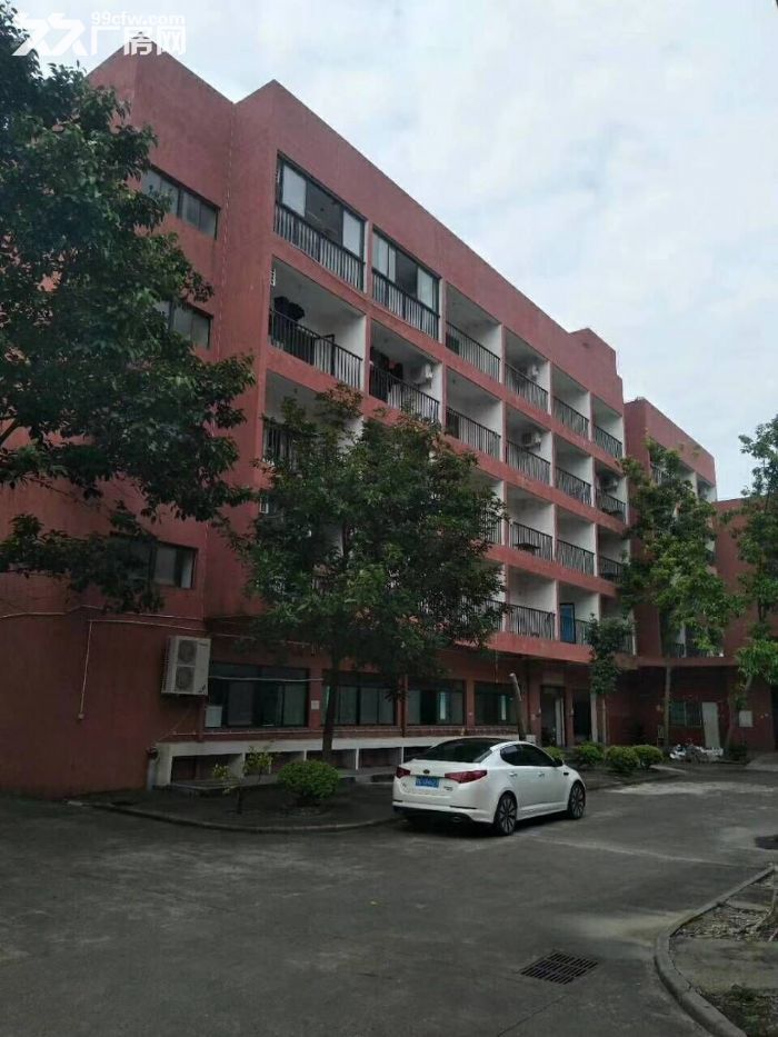 南屏独院一楼1350平方厂房-图3