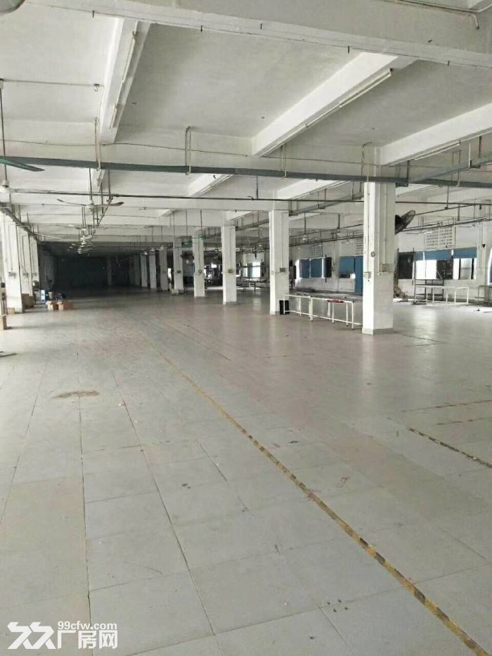 南屏独院一楼1350平方厂房-图4