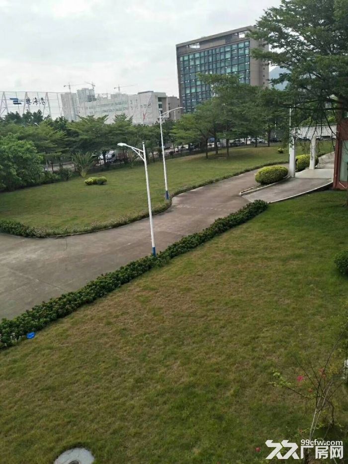 南屏独院一楼1350平方厂房-图5