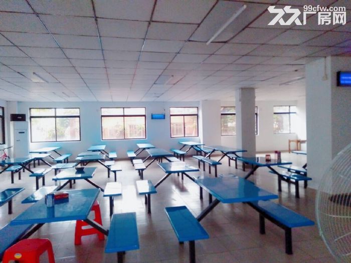 南屏独院一楼1350平方厂房-图6