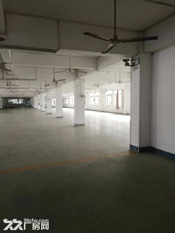 直租翠微二楼2300平方厂房 300平起分租 带装修