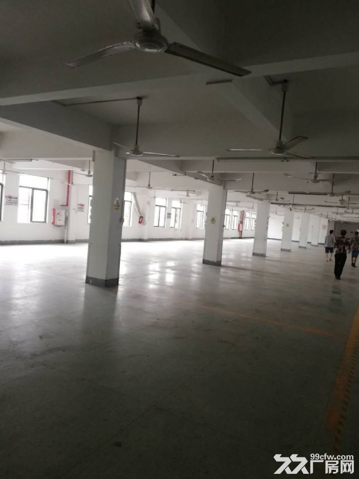 直租翠微二楼2300平方厂房 300平起分租 带装修-图2