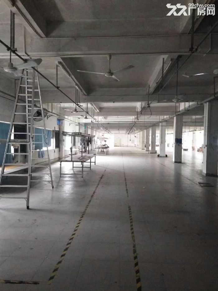 前山2400平带行车6米高厂房~仅租14元每平-图3