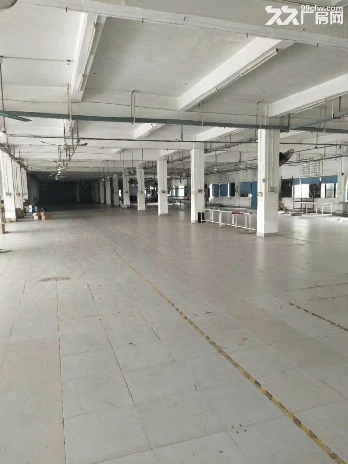 前山2400平带行车6米高厂房~仅租14元每平-图4