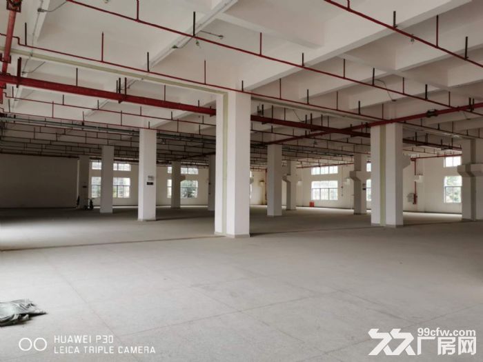 新香洲梅华西路760平方楼上厂房原房东直租-图4