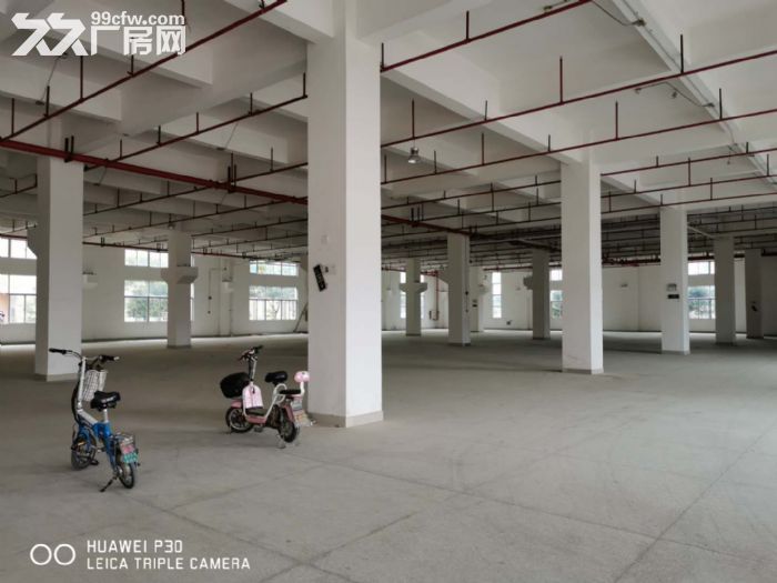 新香洲梅华西路760平方楼上厂房原房东直租-图7